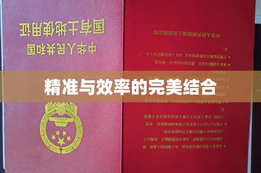 多伦精准与效率的完美结合